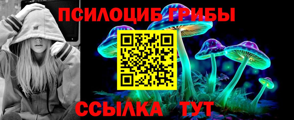 Первоуральск  Галлюциногенные грибы MAGIC MUSHROOMS  Вход с VPN 